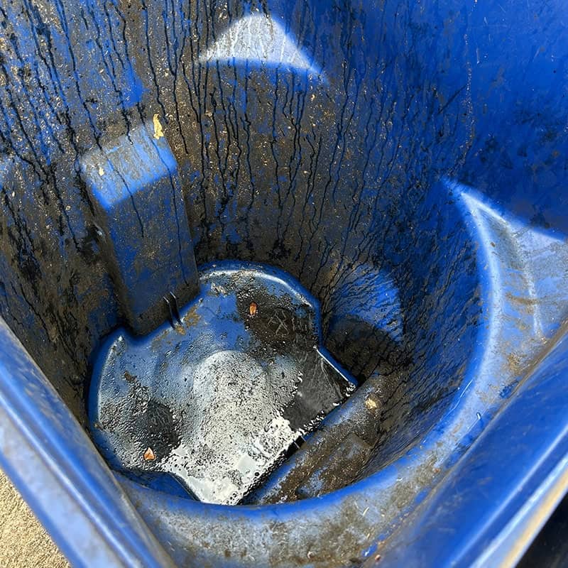 Dirty Bin Before Cleaning