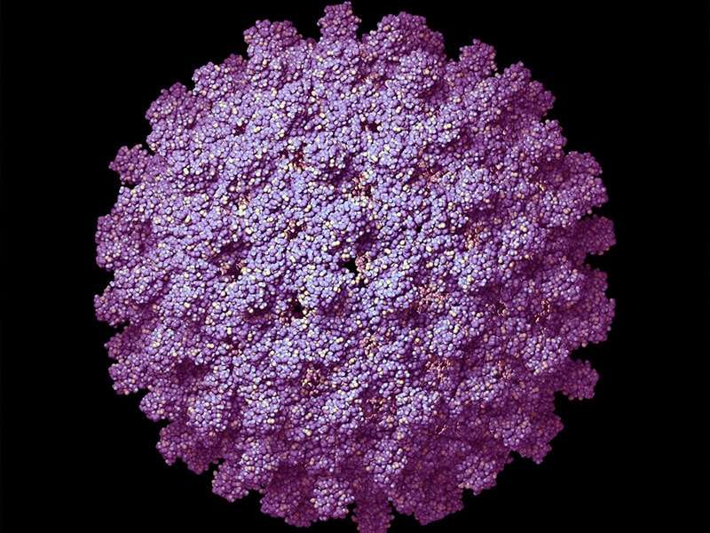 Virus risk in dirty trash bins